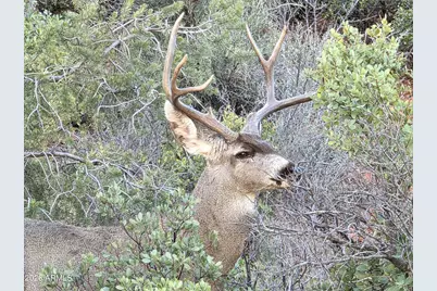 50 Forest Lane #14, Sedona, AZ 86336 - Photo 50