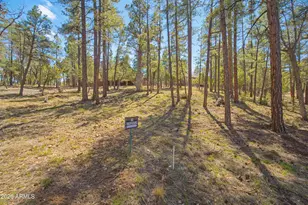 1522 Mainline Rd, Heber, AZ 85928 - Photo 28