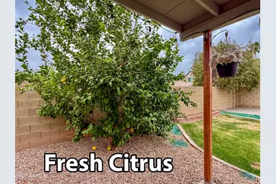 928 E Hope Street, Mesa, AZ 85203 - Photo 40