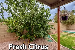 928 E Hope St, Mesa, AZ 85203 - Photo 40