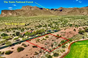 7821 E Usery Pass Trail, Gold Canyon, AZ 85118 - Photo 10