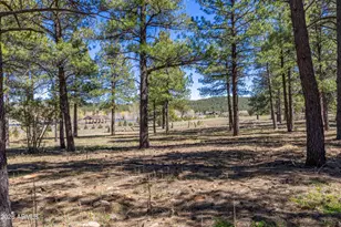 252 W Dawn Cir, Munds Park, AZ 86017 - Photo 54