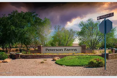 3124 E Sparrow Place, Chandler, AZ 85286 - Photo 14