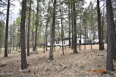 2194 Deer Ridge Drive, Happy Jack, AZ 86024 - Photo 34