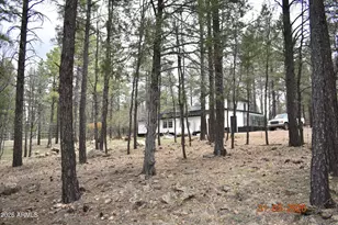 2194 Deer Ridge Dr, Happy Jack, AZ 86024 - Photo 34