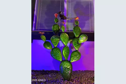 386 W Fairview Street, Chandler, AZ 85225 - Photo 18