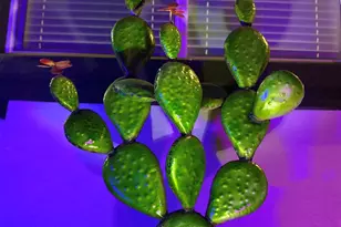 386 W Fairview St, Chandler, AZ 85225 - Photo 18