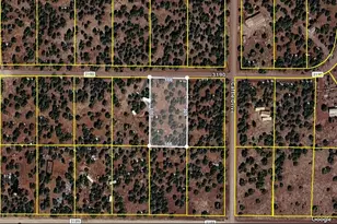 30 Acr 3190 Rd, Vernon, AZ 85940 - Photo 1