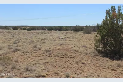 5999 Mesa View Lot 149 Drive #149, Heber, AZ 85928 - Photo 1