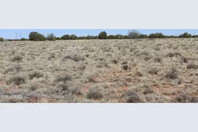 5999 Mesa View Lot 149 Drive #149, Heber, AZ 85928 - Photo 4