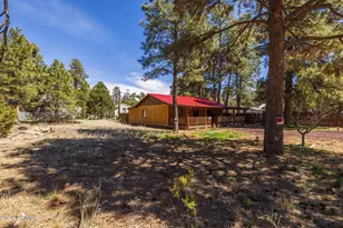 2074 Thousand Pines Dr, Overgaard, AZ 85933 - Photo 6