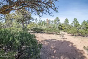 501 N Chaparral Pines Dr, Payson, AZ 85541 - Photo 60