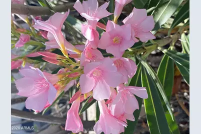 1121 W Aster Drive, Phoenix, AZ 85029 - Photo 90