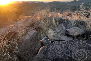 1121 W Aster Dr, Phoenix, AZ 85029 - Photo 76