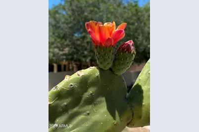 1121 W Aster Drive, Phoenix, AZ 85029 - Photo 88