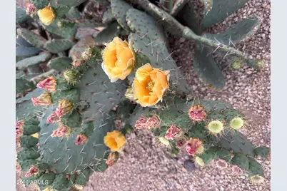 1121 W Aster Drive, Phoenix, AZ 85029 - Photo 86