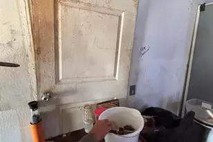 7245 S 41st Way, Phoenix, AZ 85042 - Photo 12