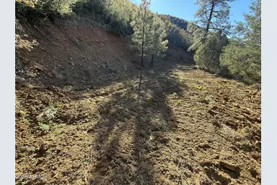 22550 S Gladiator Mine Road #-, Crown King, AZ 86343 - Photo 4