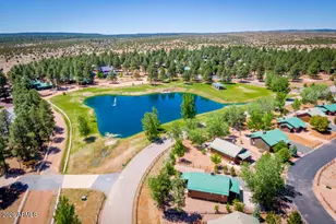 2690 Palomino Trail, Overgaard, AZ 85933 - Photo 30