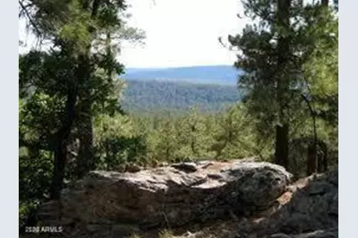 3378 Windy Lane #139, Heber, AZ 85928 - Photo 1