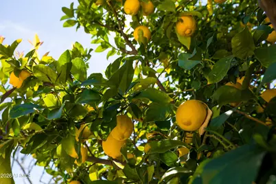 5035 E Duane Lane, Cave Creek, AZ 85331 - Photo 52