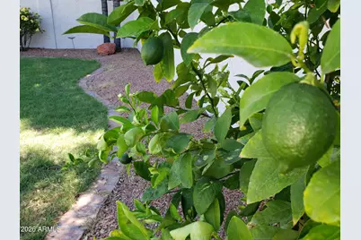 20222 N 61st Avenue, Glendale, AZ 85308 - Photo 38