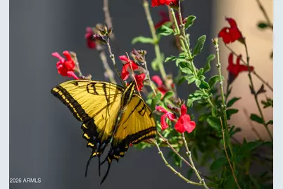 565 Whistle Stop Road, Clarkdale, AZ 86324 - Photo 4