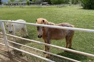 1150 S Rio Verde Ln, Camp Verde, AZ 86322 - Photo 44