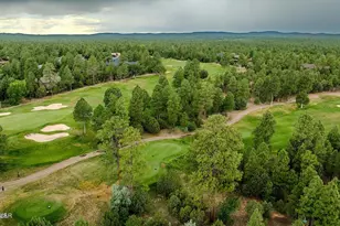 2980 W Black Oak Loop, Show Low, AZ 85901 - Photo 4