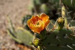 30472 N Sunray Dr, San Tan Valley, AZ 85143 - Photo 2