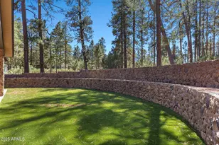 500 Mule Springs Trail, Forest Lakes, AZ 85931 - Photo 68