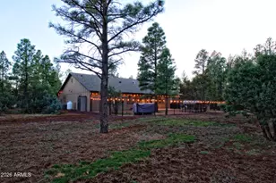9244 Misty Mountain Ln, Lakeside, AZ 85929 - Photo 30
