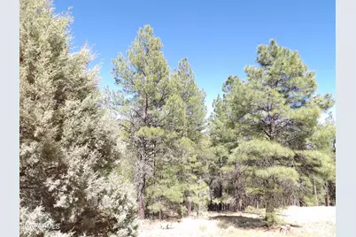 1601 Moqui Drive #77, Happy Jack, AZ 86024 - Photo 4