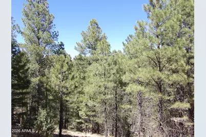 1601 Moqui Drive #77, Happy Jack, AZ 86024 - Photo 8