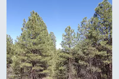 1601 Moqui Drive #77, Happy Jack, AZ 86024 - Photo 1