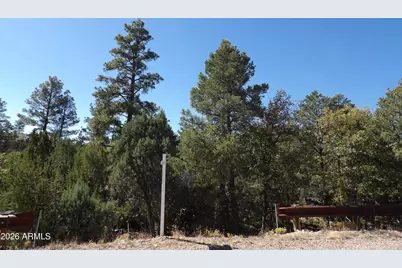 3642 Pinehurst Drive #169, Happy Jack, AZ 86024 - Photo 1