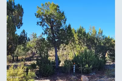 4083 Sunset Ridge Loop #175, Happy Jack, AZ 86024 - Photo 1