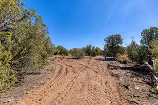0000 Aubri Ln, Show Low, AZ 85901 - Photo 1