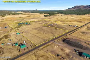 216 County Road 2311 --, Alpine, AZ 85920 - Photo 2