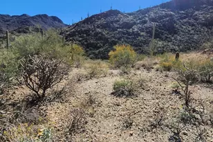 6400 W Lost Canyon Dr, Tucson, AZ 85745 - Photo 1