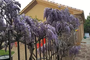 5721 Honeysuckle Rd, Prescott, AZ 86305 - Photo 96