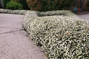 5721 Honeysuckle Rd, Prescott, AZ 86305 - Photo 56