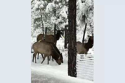 2311 S Sierra Park Trail, Show Low, AZ 85901 - Photo 42