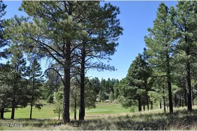 2900 S Solitaires Canyon Drive #345, Flagstaff, AZ 86005 - Photo 8