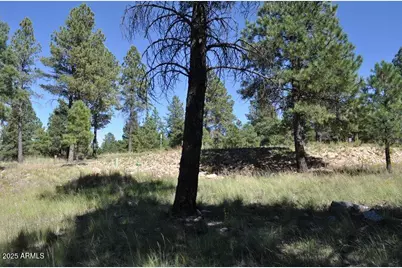 2900 S Solitaires Canyon Drive #345, Flagstaff, AZ 86005 - Photo 10