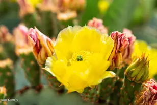 2399 E San Miguel Dr, Casa Grande, AZ 85194 - Photo 32