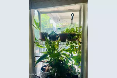 5230 W Jupiter Way N, Chandler, AZ 85226 - Photo 14