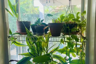 5230 W Jupiter Way N, Chandler, AZ 85226 - Photo 14