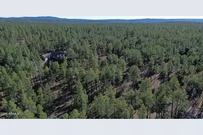 2875 S Timber Pine Lane, Pinetop, AZ 85935 - Photo 1
