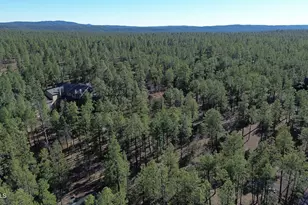 2875 S Timber Pine Ln, Pinetop, AZ 85935 - Photo 1